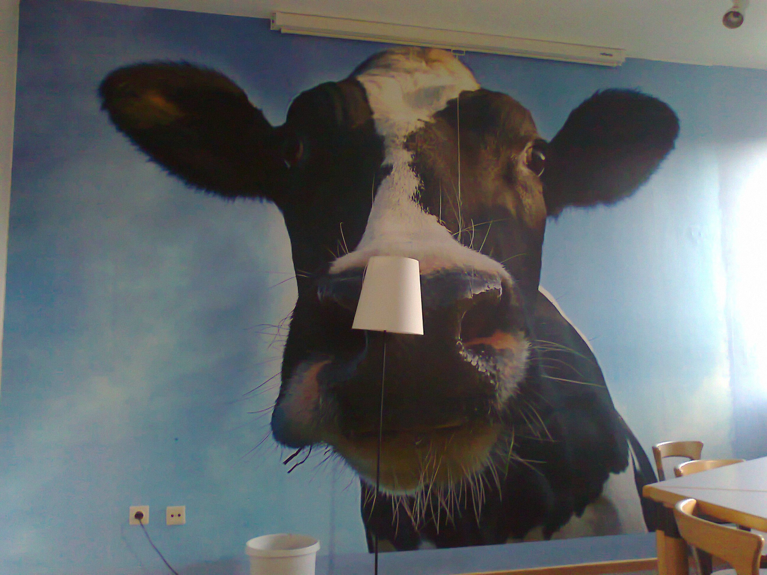 Esszimmer G2 Kuh an der Wand